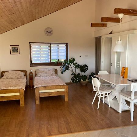 Apartman V Podhuri Jizerskych Hor Zelezny Brod Exterior photo