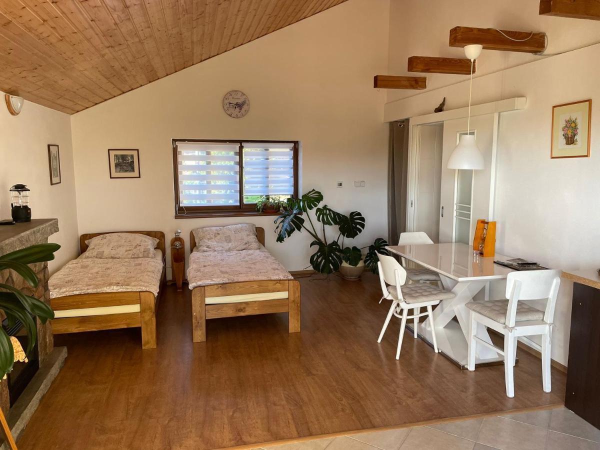 Apartman V Podhuri Jizerskych Hor Zelezny Brod Exterior photo